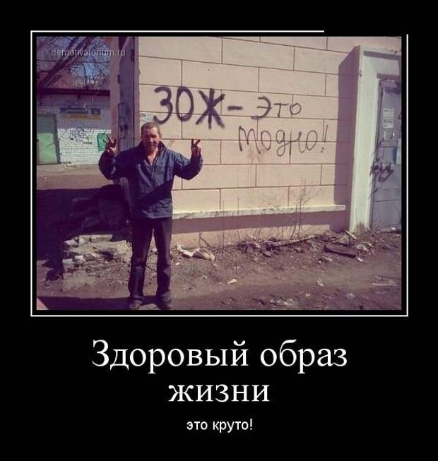 Демотиваторы про Мальдивы, маркетинг и женский коллектив Демотиваторы про Мальдивы, маркетинг и женский коллектив