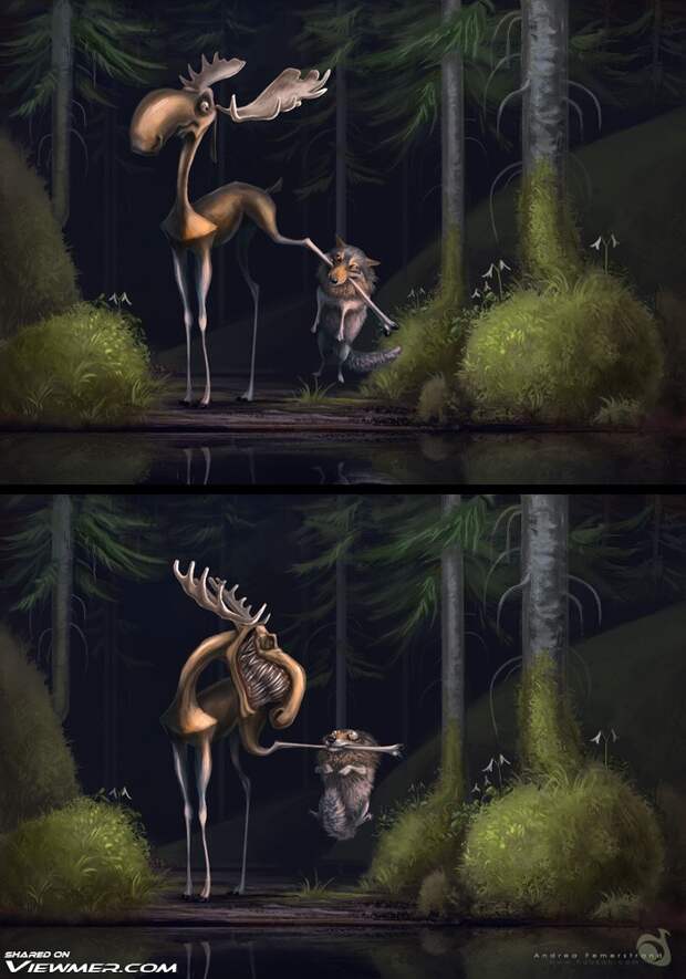 moosterd-illustration-forest-wolf-moose-