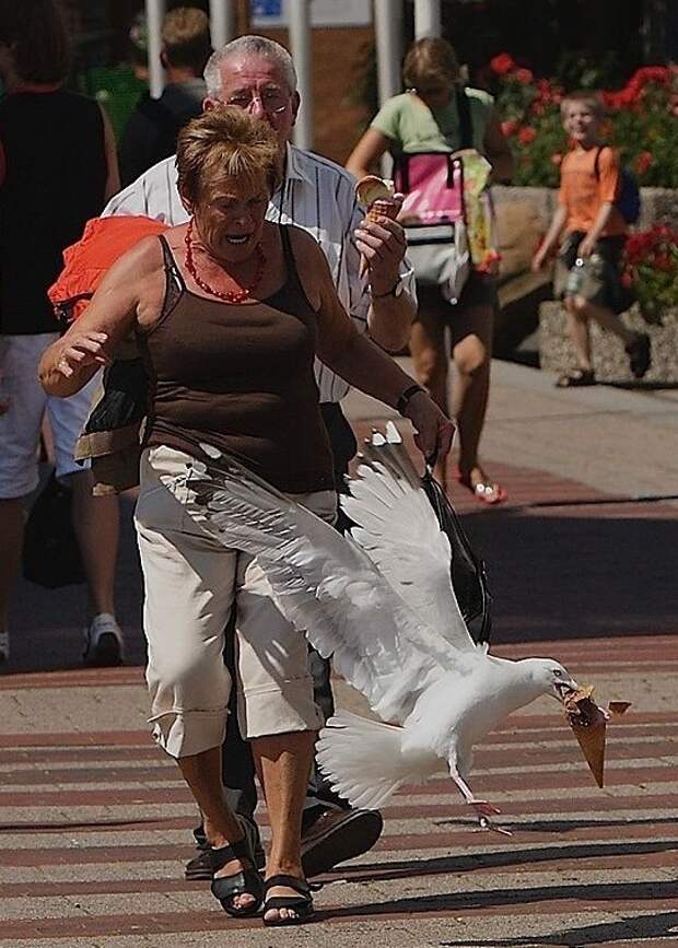 В нужный момент