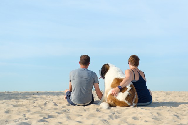 So many people assume that the only way to control a giant breed dog is through force such as a choke or prong collar. There are so many detriments to using such an aversive tool. Thankfully, there are better ways to ensure your dog doesn't pull you down the street.