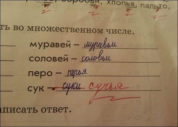 Прикольные надписи и объявления