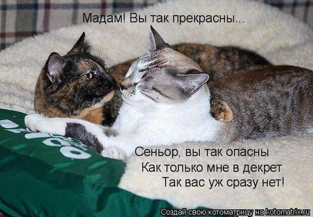Мысли вслух :)