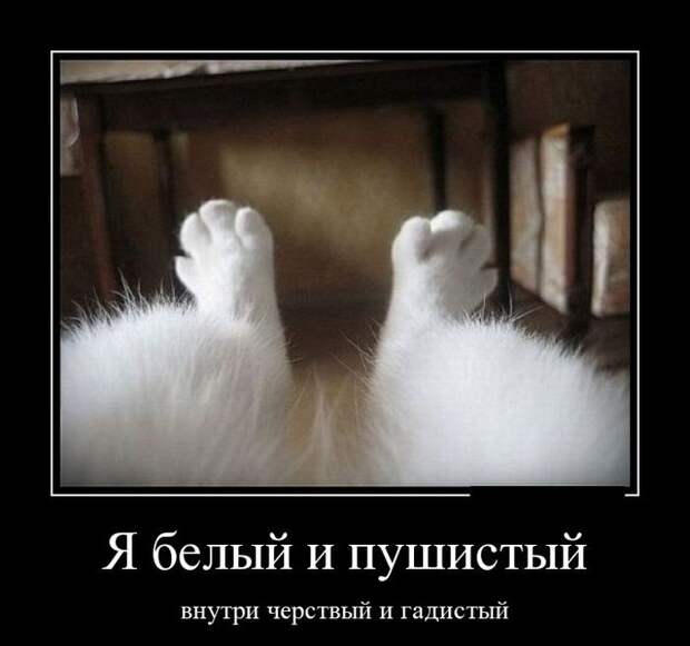 Пятничная подборка демотиваторов демотиваторы, юмор