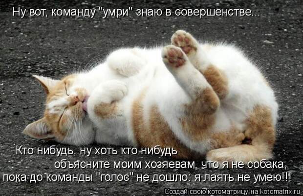 Мысли вслух :)