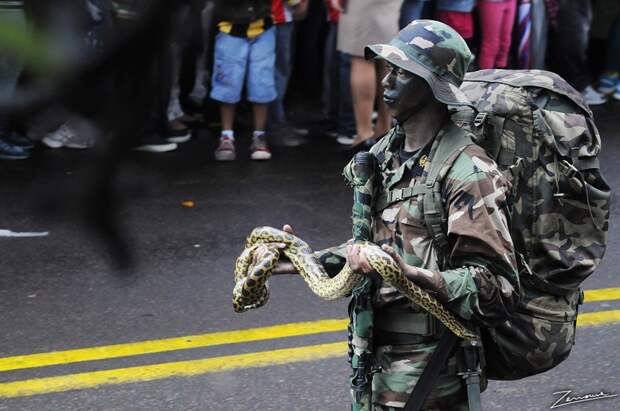 Солдаты армии Парагвая маршируют на параде со своими животными военное, фото, юмор