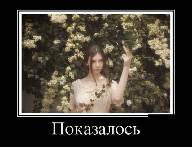 Демотиваторы (30 фото)