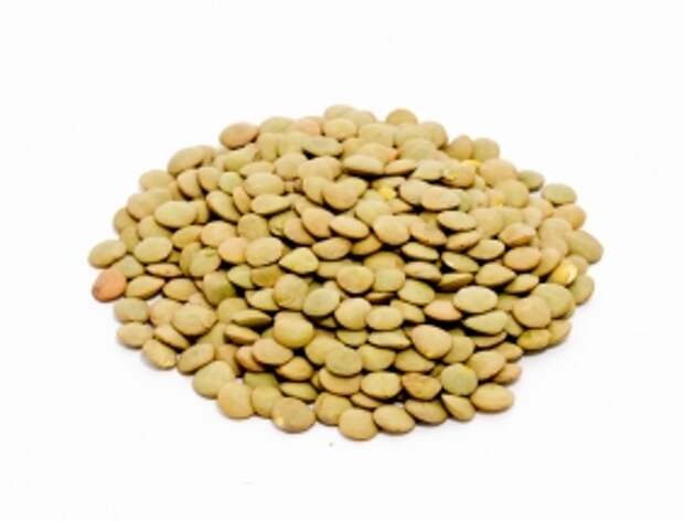 Laird_green_lentils_w_copy-282x215