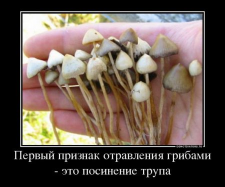 Чёрный юмор. Демотиваторы прикольные.
