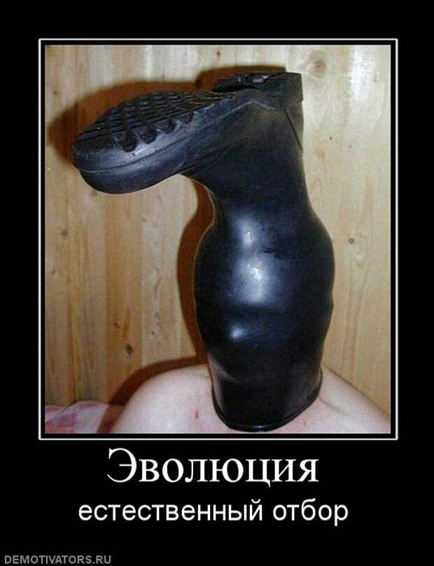 Демотиваторы