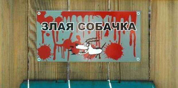 Таблички, правдивость которых не хочется проверять Таблички, правдивость которых не хочется проверять животные, прикол
