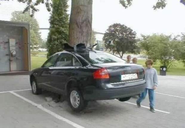 Самые курьезные аварии