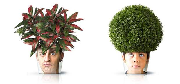 green-design-ideas-inspired-by-nature-2-16-3