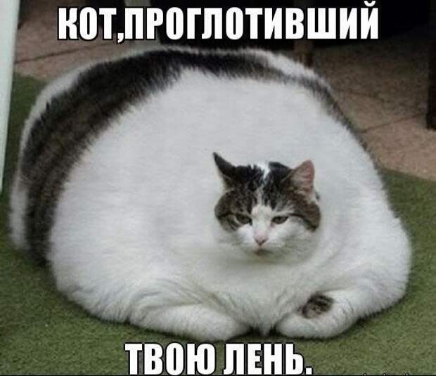 Всяко - разно 49 ))) Всяко - разно 49 )))