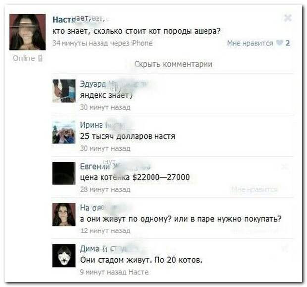 Комментарии из соцсетей