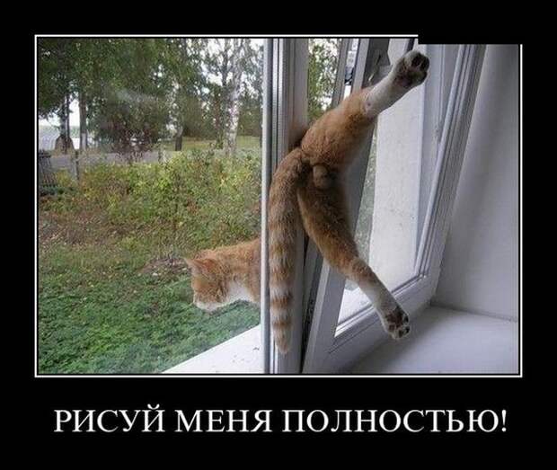 Демотиваторы 