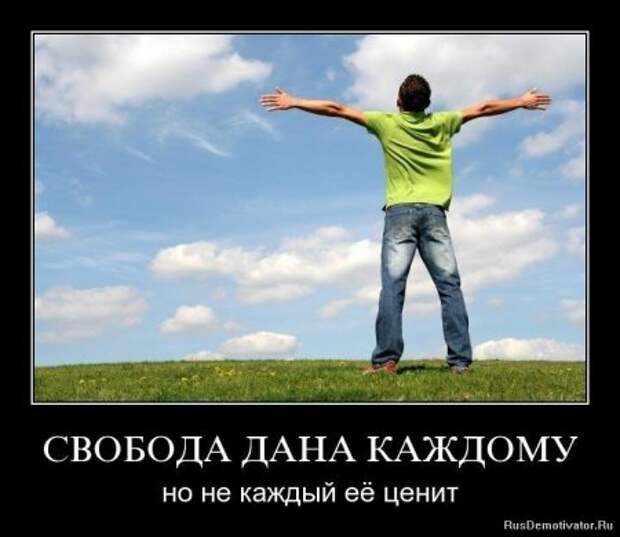 Подборка демотиваторов.