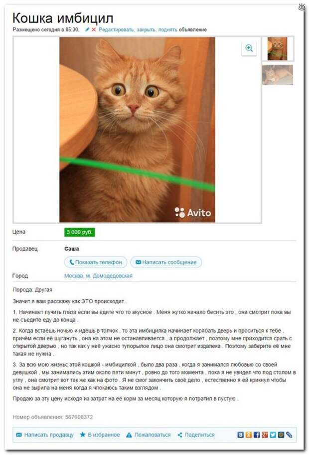 Трогательный танк!? 27