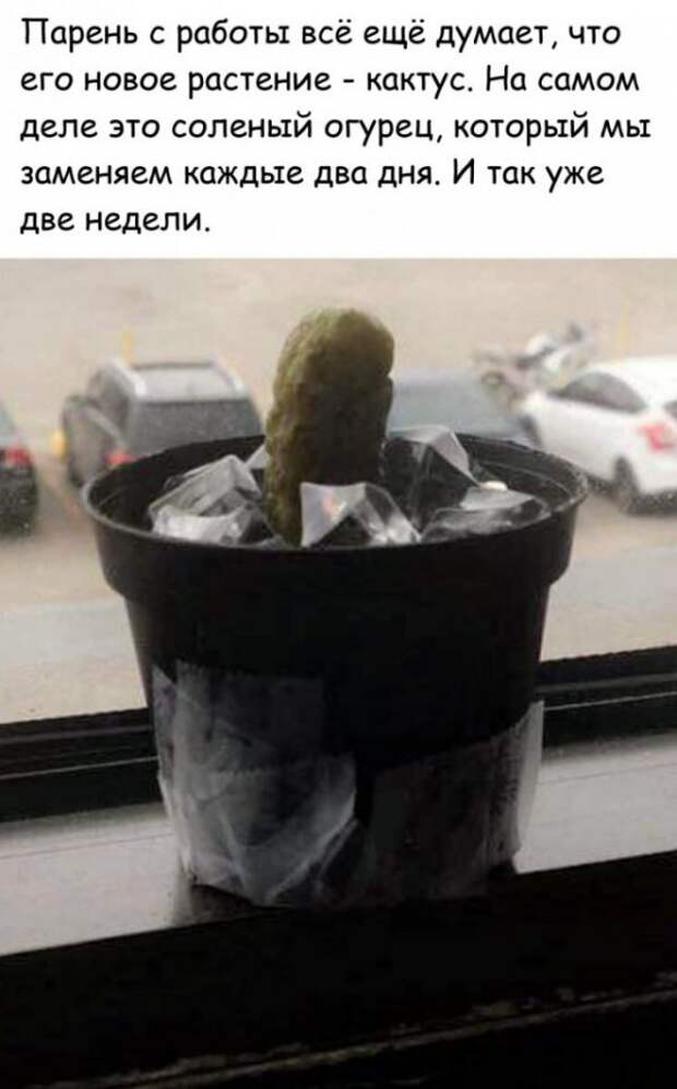 Немного картинок для настроения
