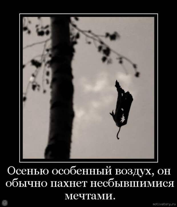 Особые осенние демотиваторы 30