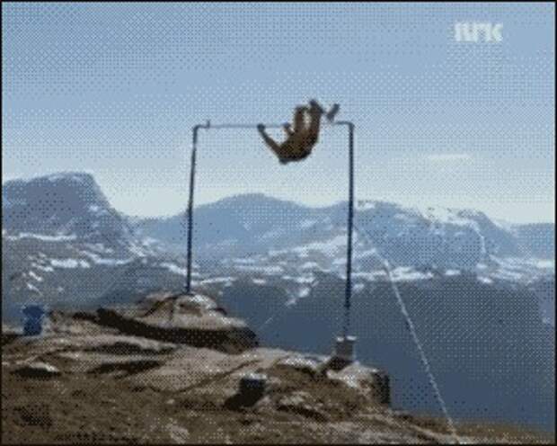 То, чего многие боятся змеи, насекомые, фобии
