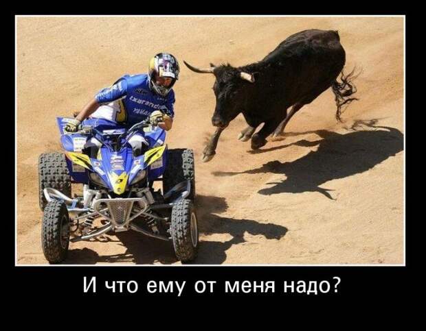 19 лучших демотиваторов о хобби демотиватор, хобби