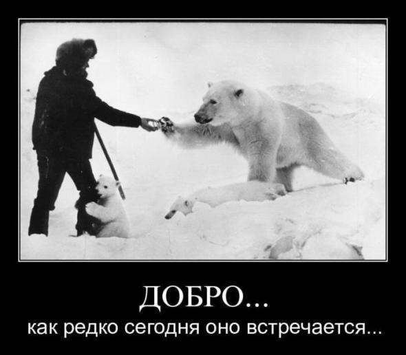 Новый сборник классных  демотиваторов февраля (2014)