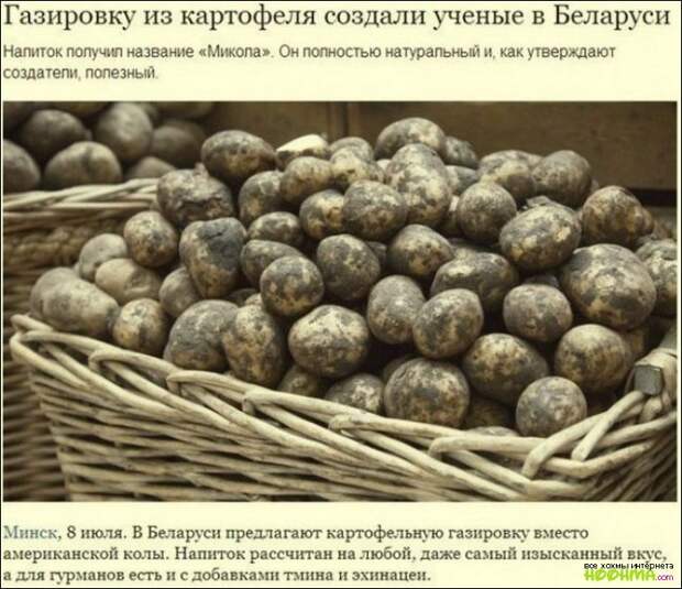 Рейтинг превыше всего