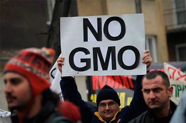 15 стран ЕС выступили против ГМО-продуктов