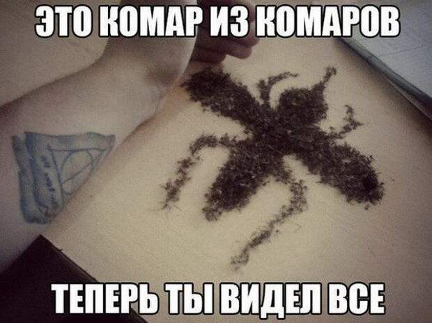 Теперь ты видел все