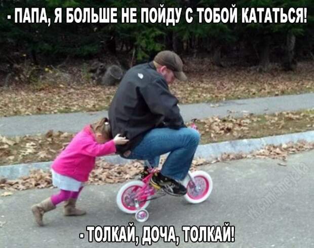 Картинки