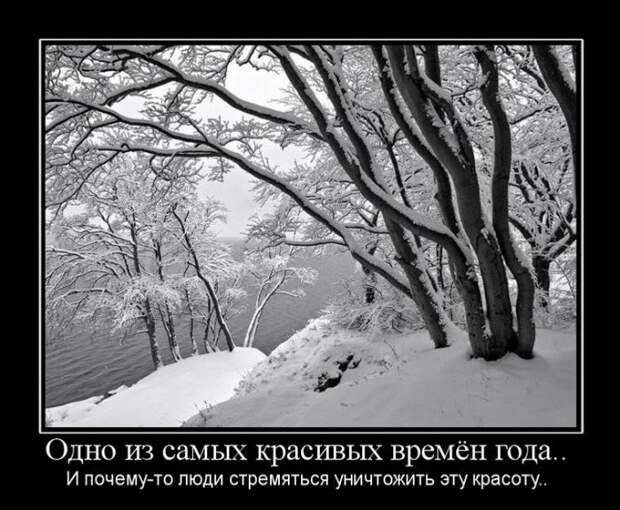 Зимние демотиваторы