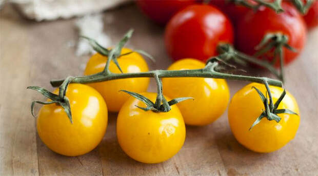 Best Anti Aging Foods