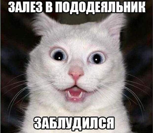 Прикольные картинки (90 фото) Прикольные картинки (90 фото)