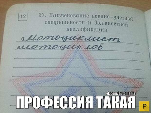 Забавные приколы на дороге (24 фото)
