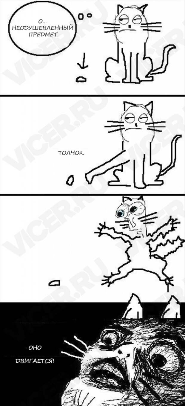 кошачья логика 4