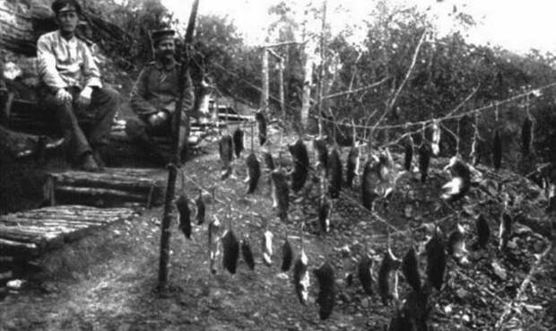 Подборка редких фотографий со всего мира. Часть 8 (74 фото) Подборка редких фотографий со всего мира. Часть 8 (74 фото)