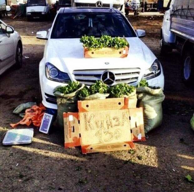 АВТОприколы на Бугаге (21 фото)