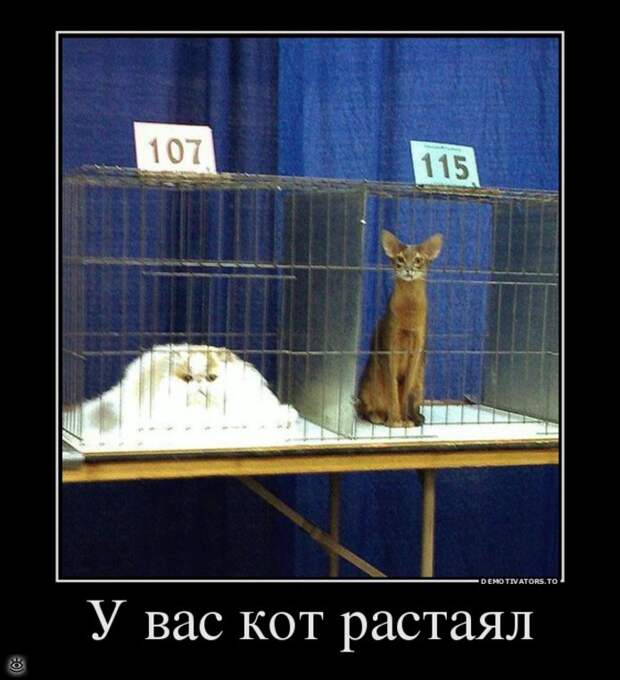 Эфемерные демотиваторы 10
