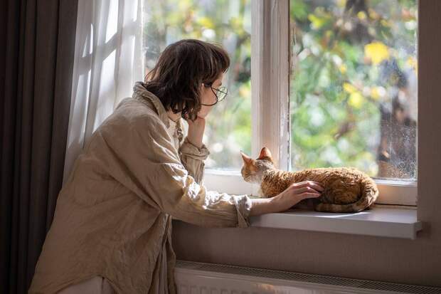 Нежелающим убирать шерсть за кошкой дали совет