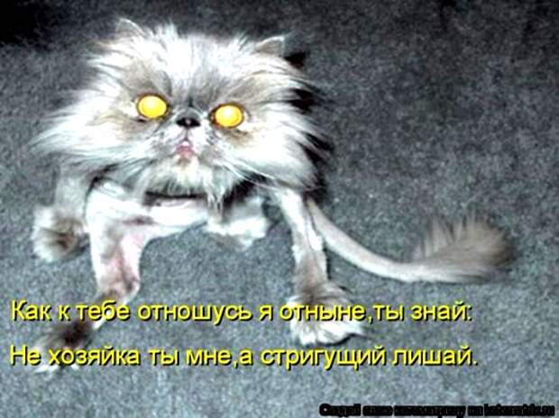 543aa6884ecd16ab2a806c46969_prev