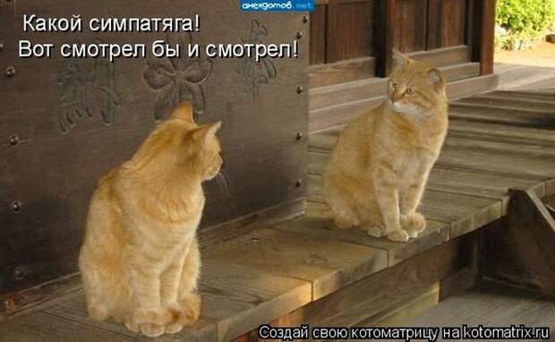 Мысли вслух :)