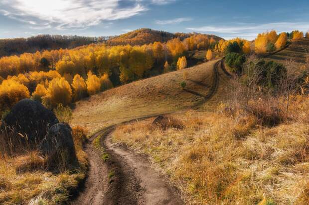 Лучшие фотографии от National Geographic октябре 2015
