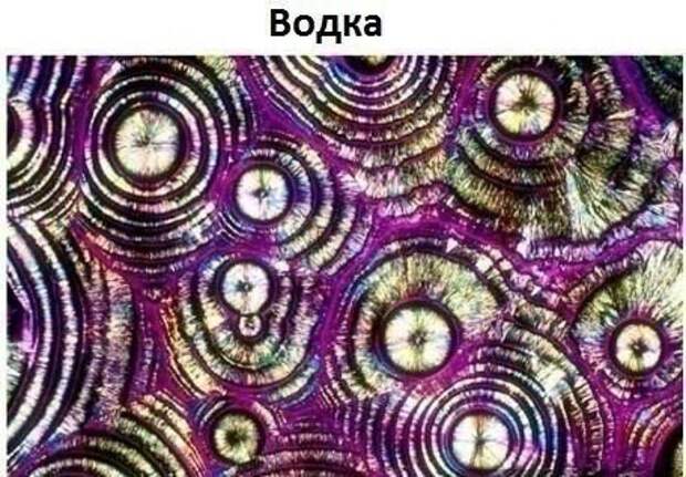 Немного интересного под микроскопом. Немного интересного под микроскопом.