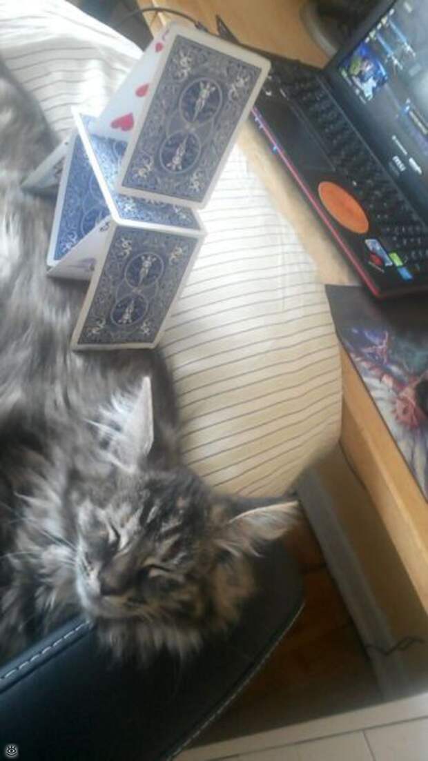 Забавные и позитивные фотки 17