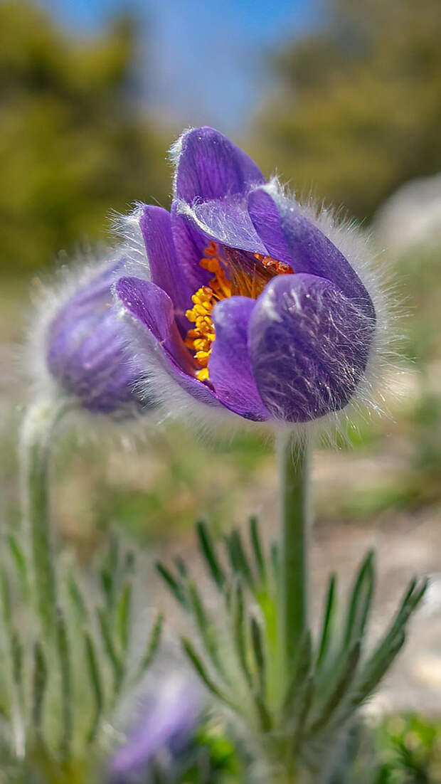 Доброе утро! И хорошего дня!