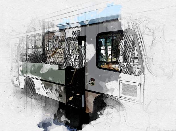 В орловскую маршрутку залетала удивительная пернатая пассажирка