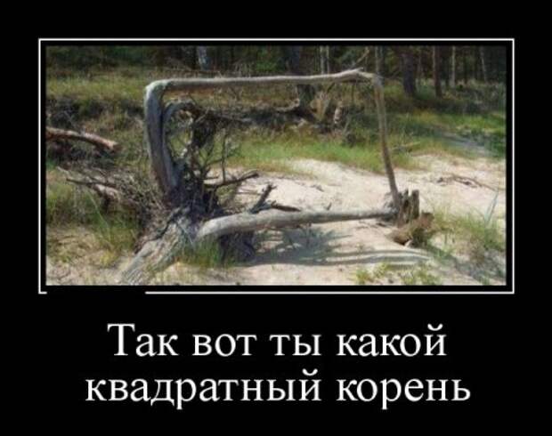 Прикольные демотиваторы и всегда во время.