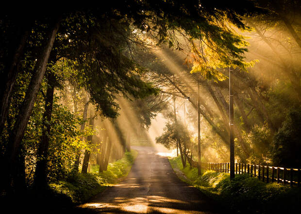 There Is a Light That Never Goes Out by Ricardo Mateus on 500px.com