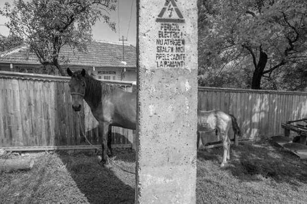 Веселые снимки, сделанные в самый подходящий момент (50 фото)