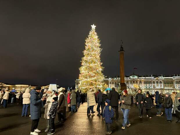 Бюджет петербуржцев на новогодние праздники составил почти 30 тысяч рублей